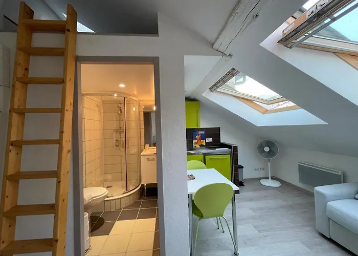 Studio Sous Les Toits Annecy Centre-Ville
